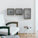 Load image into Gallery viewer, KABOON Floating Shelves Cube--Eucalyptus
