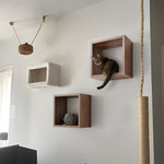 Load image into Gallery viewer, KABOON Floating Shelves Cube--Dark Walnut
