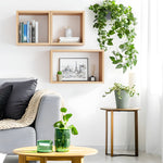 Load image into Gallery viewer, KABOON Floating Shelves Cube--Light Walnut
