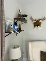 Load image into Gallery viewer, KABOON Floating Shelves for Wall, Set of 2--Eucalyptus
